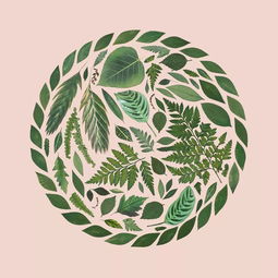 超治愈平面设计 一家人要整整齐齐的创意理念在网页中的应用