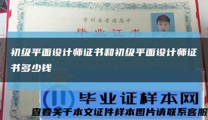 视觉语言的力量 平面设计师的身份探析与实践指南