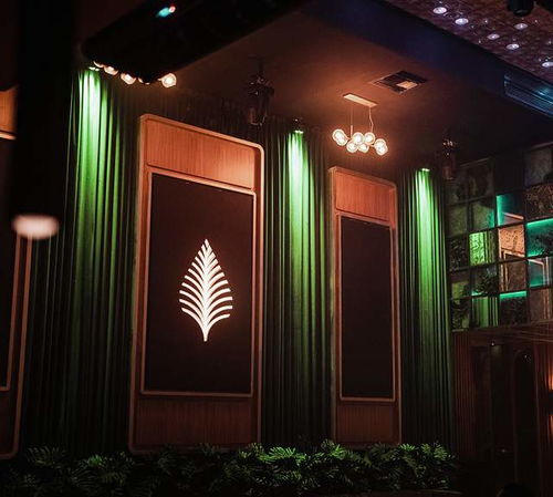 Café de Palma 打造沉浸式热带饮品品牌形象与网页设计